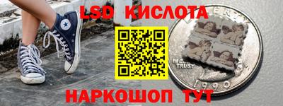 индика Камышлов