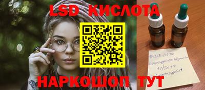 индика Камышлов