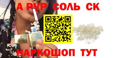 индика Камышлов