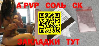 индика Камышлов