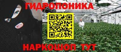 индика Камышлов