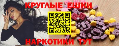 индика Камышлов