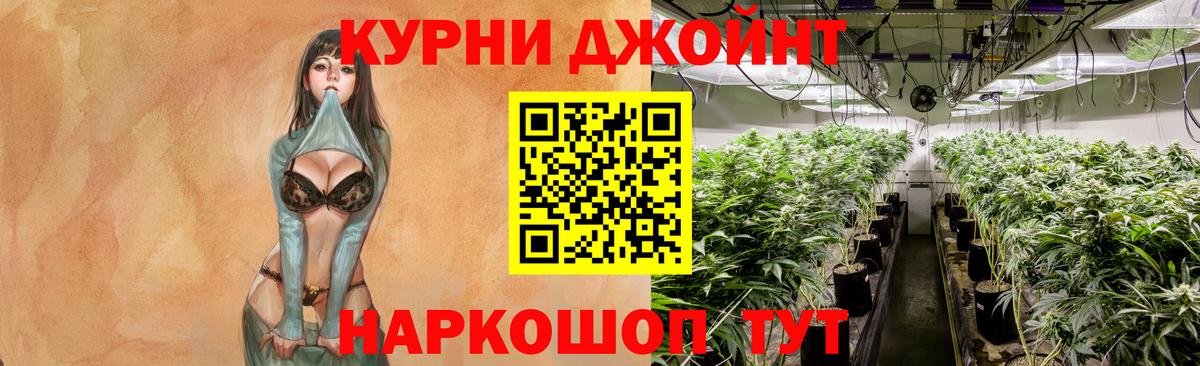Канабис OG Kush Энгельс